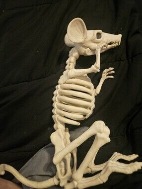 Halloween Decor Rat Skeleton
